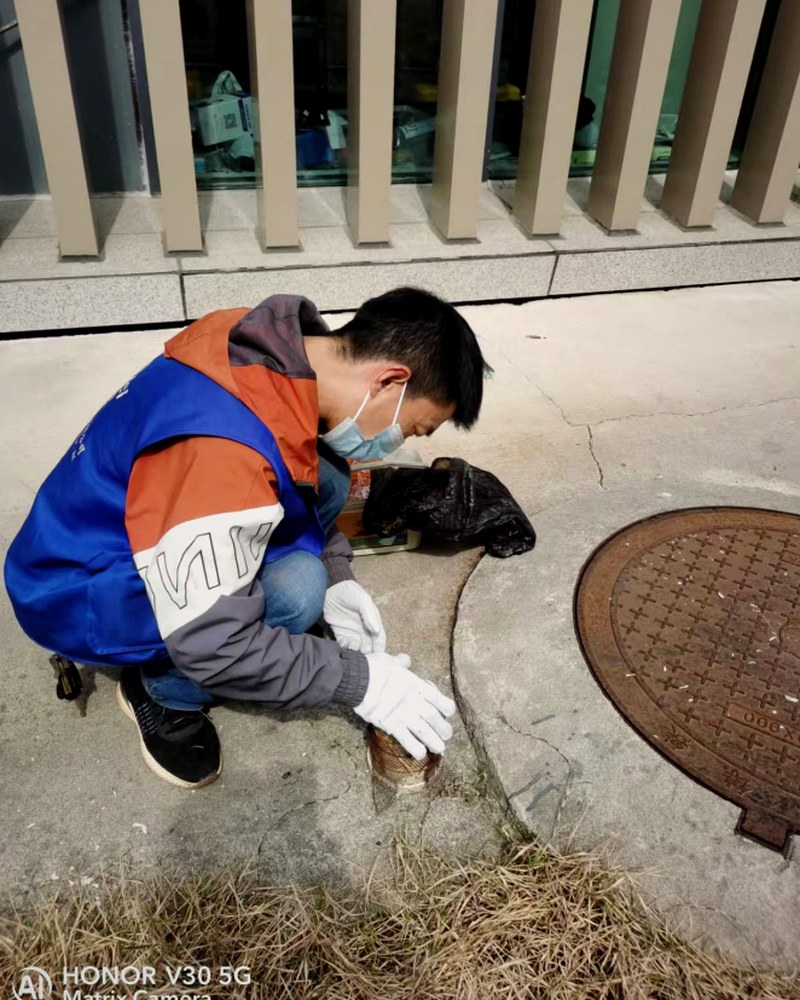 酒店行业消杀服务