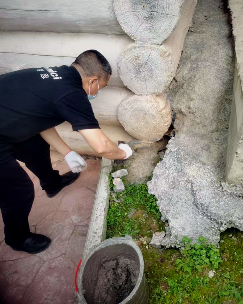 商业场所灭鼠服务